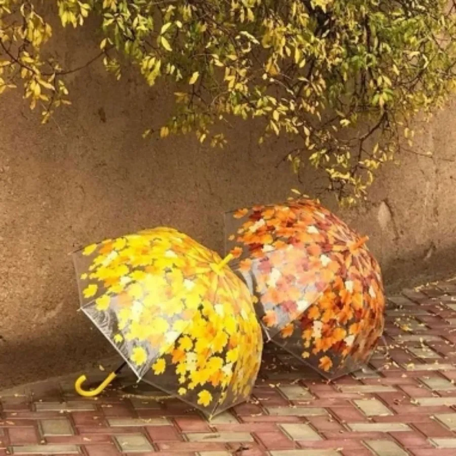 چتر برگ پاییزی