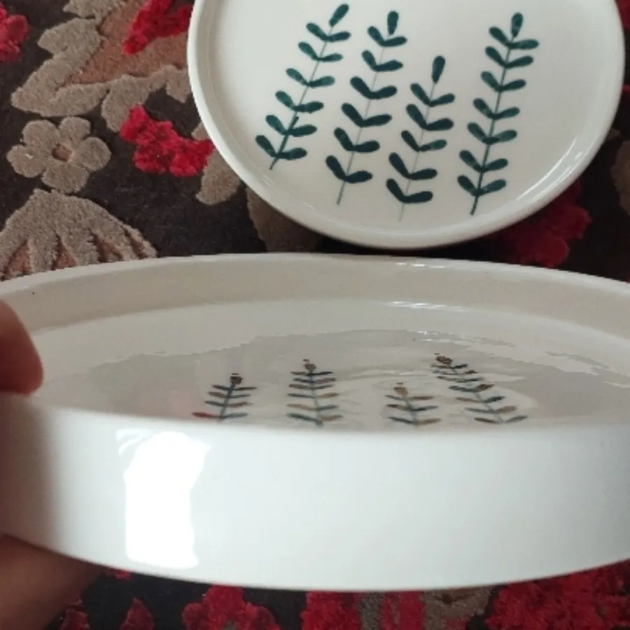 ظروف پذیرایی