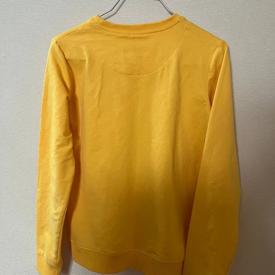 دورس زرد بهاره