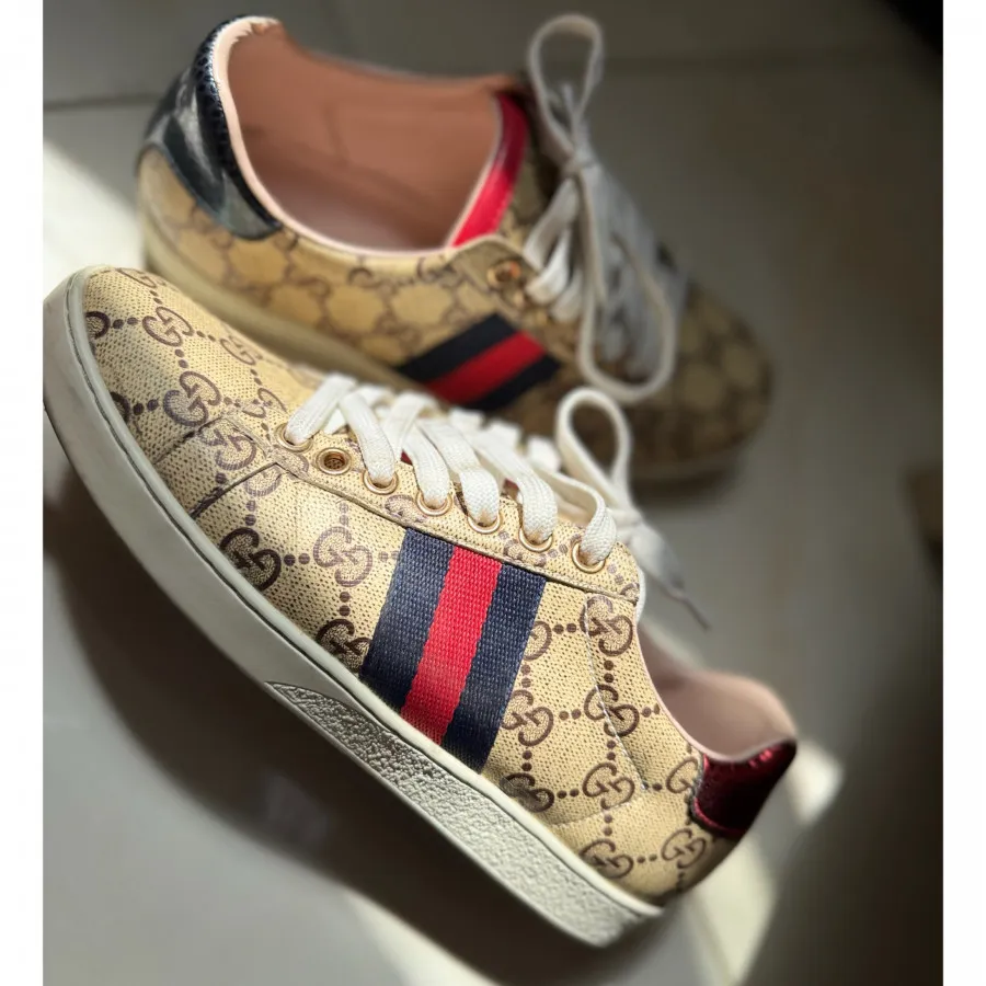 کفش مستر اصلی گوچی GUCCI