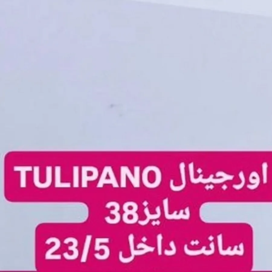 کفش زنانه