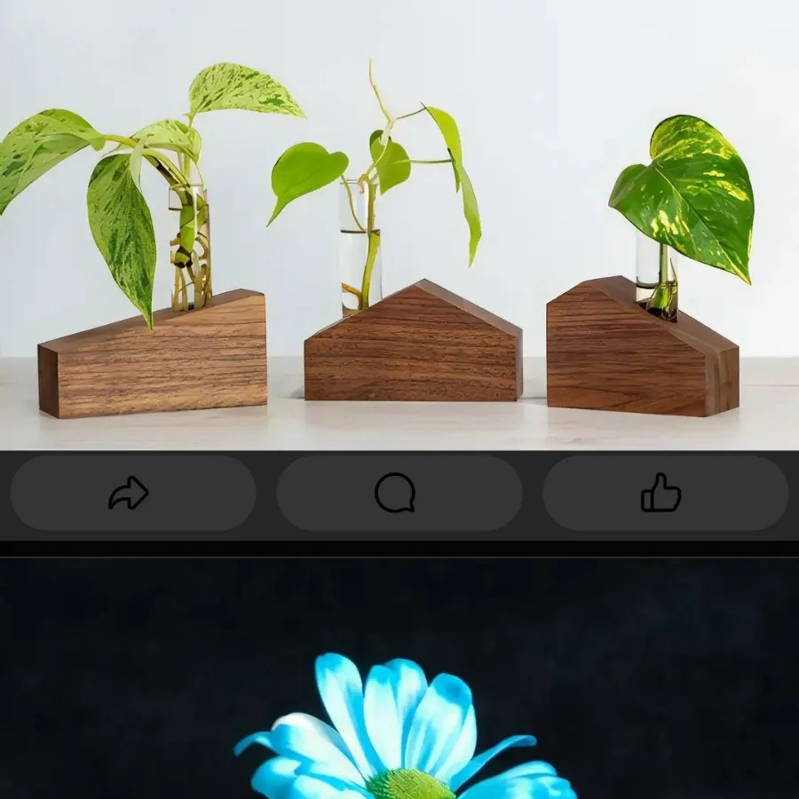 گلدان‌های مینیاتوری