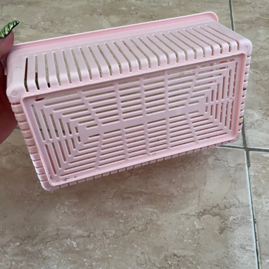 سبد پلاستیکی