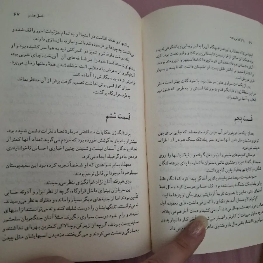 رمان با گرگها می رقصید