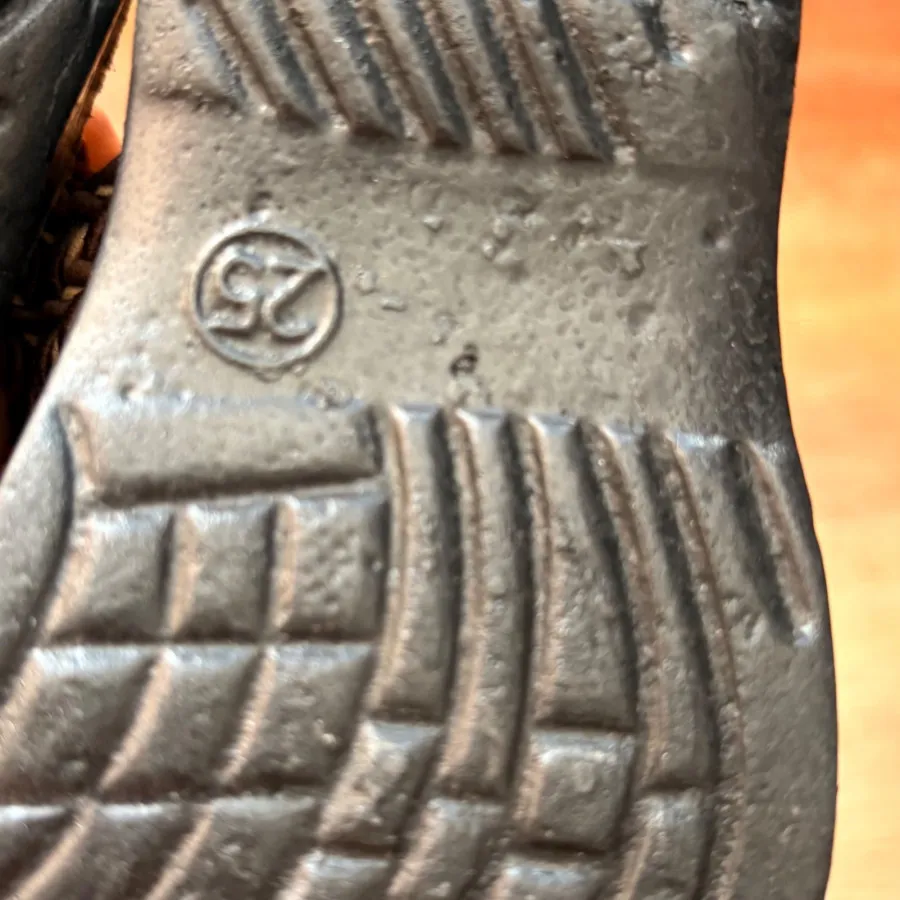 دمپایی شصتی