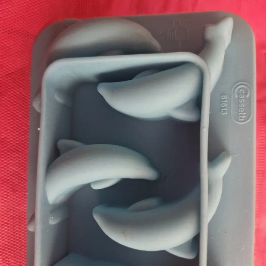 قالب سیلیکون