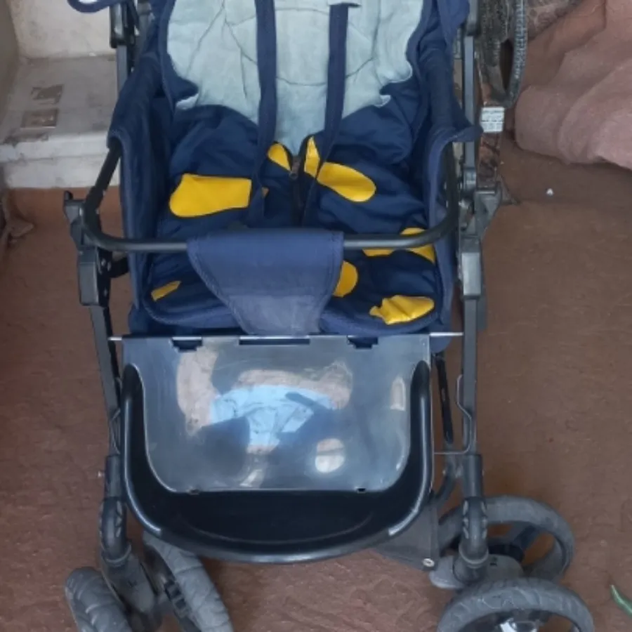 کالسکه دلیجان