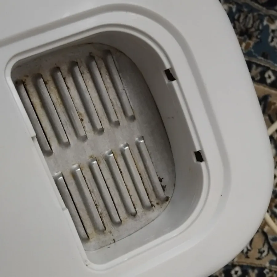 مینی سرخ کن