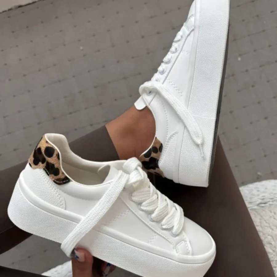 ونس لژدار جدید