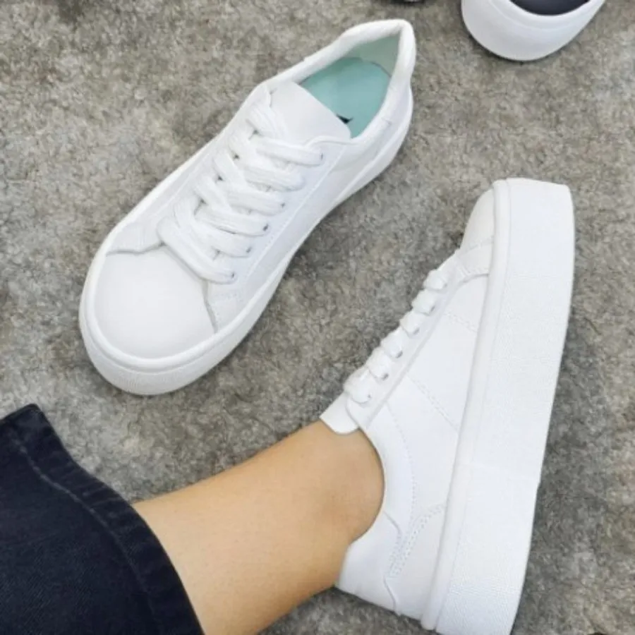 ونس لژدار جدید