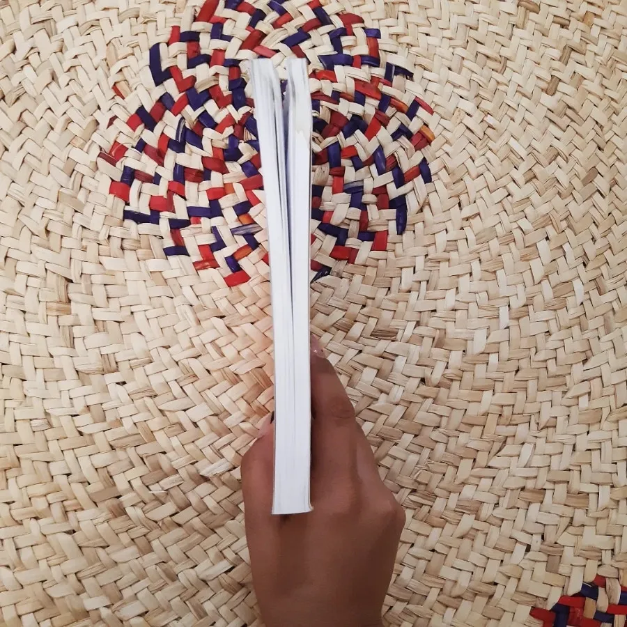 کتاب یادداشت های دیوانه