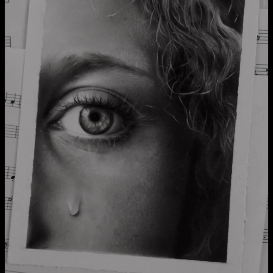 سفارش نقاشی