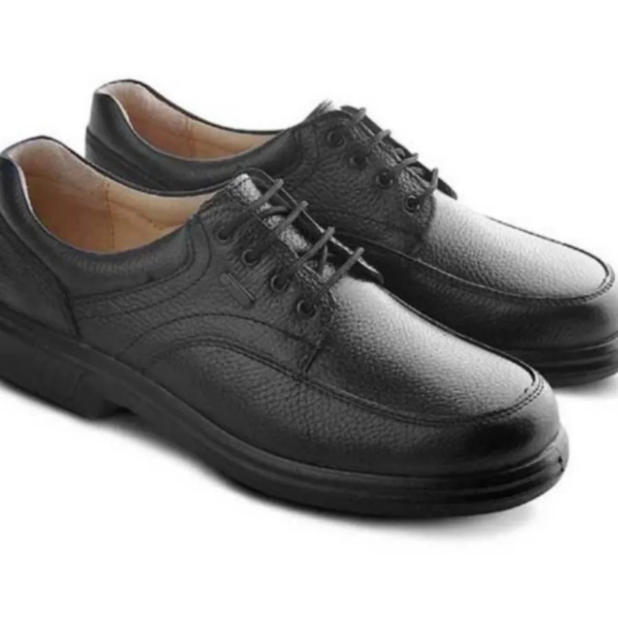 کفش مردانه البرز