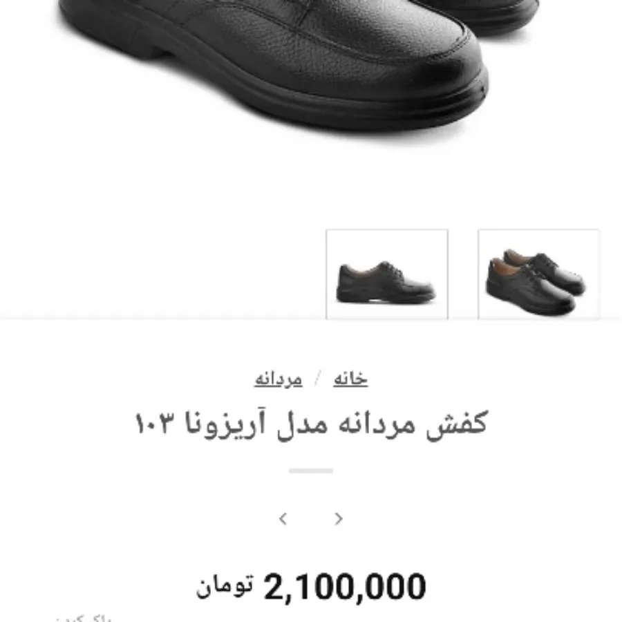 کفش مردانه البرز