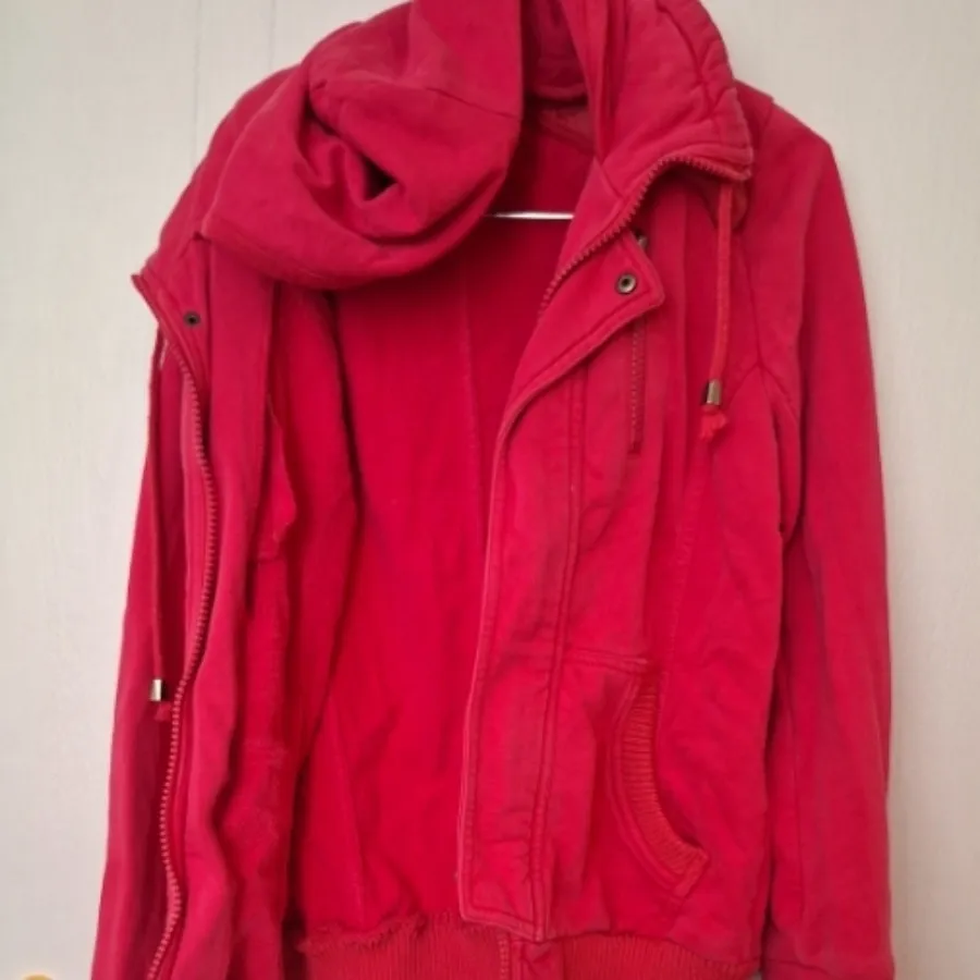 پالتو و مانتو