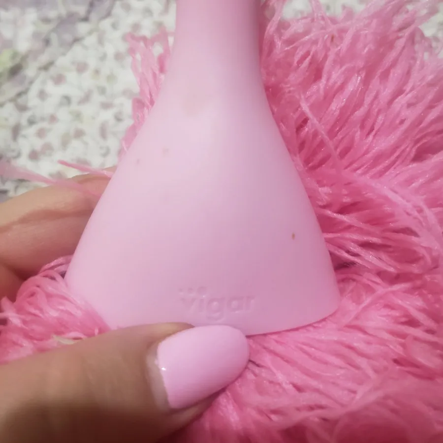 گردگیر ویگار