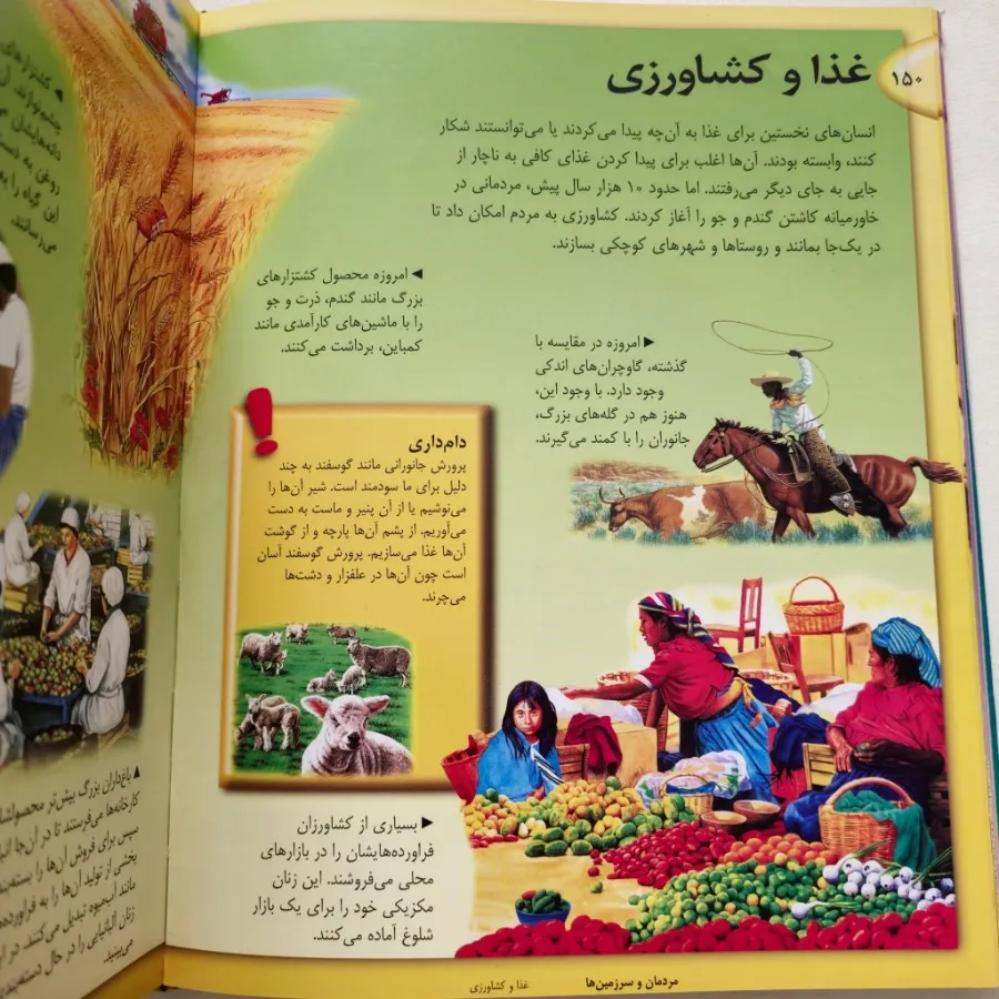 دانشنامه ی تصویری نوآموز