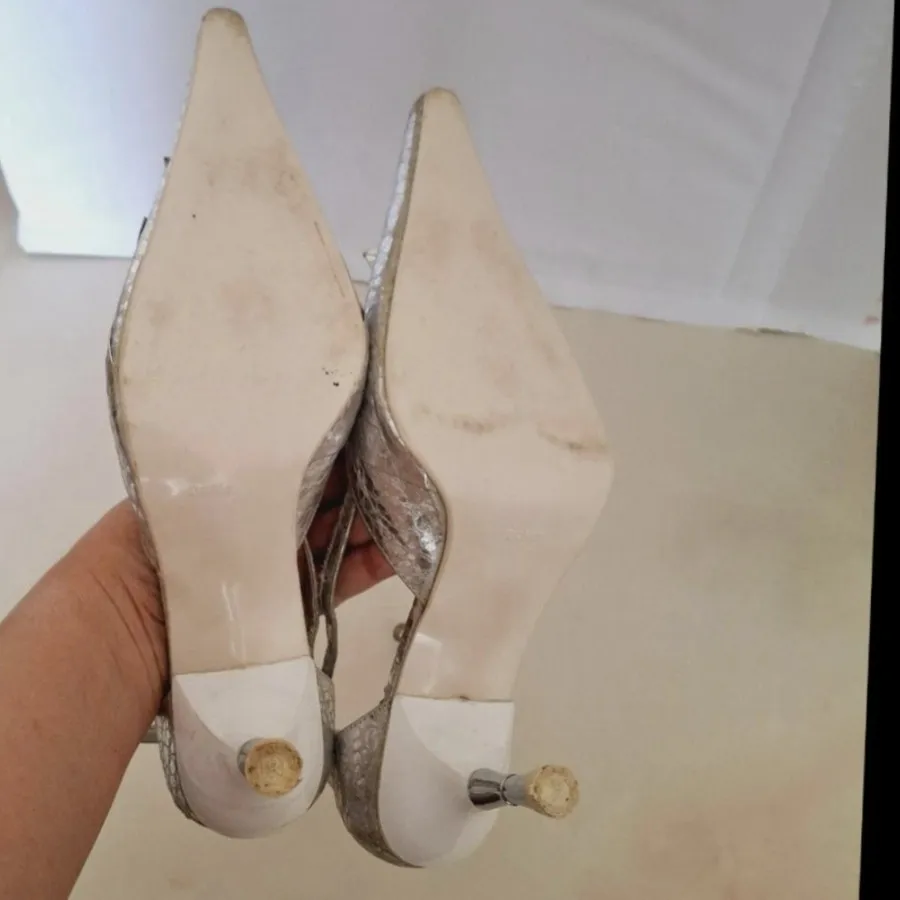 کفش نقره ای