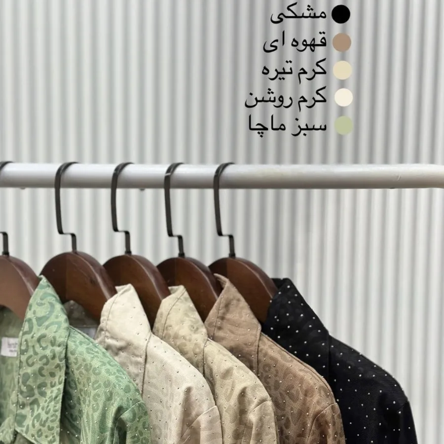 شومیزمجلسی