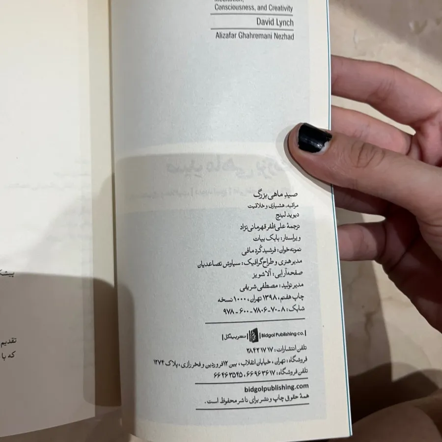 کتاب صید ماهی بزرگ