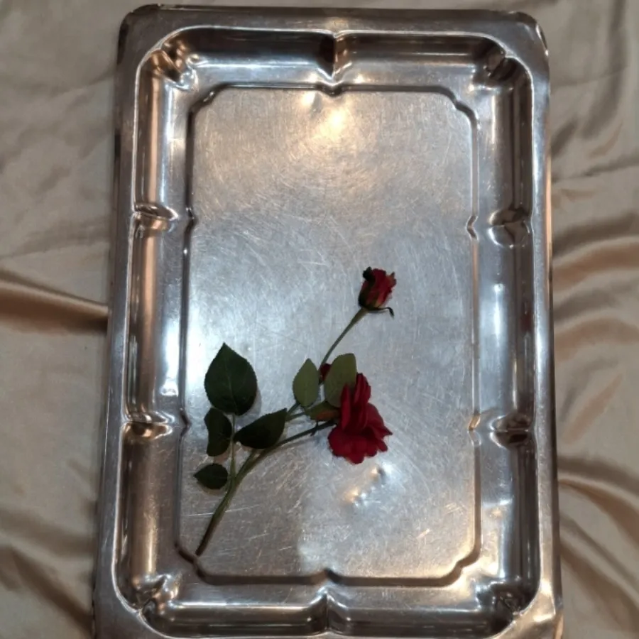 2عدد سینی استیل قدیمی