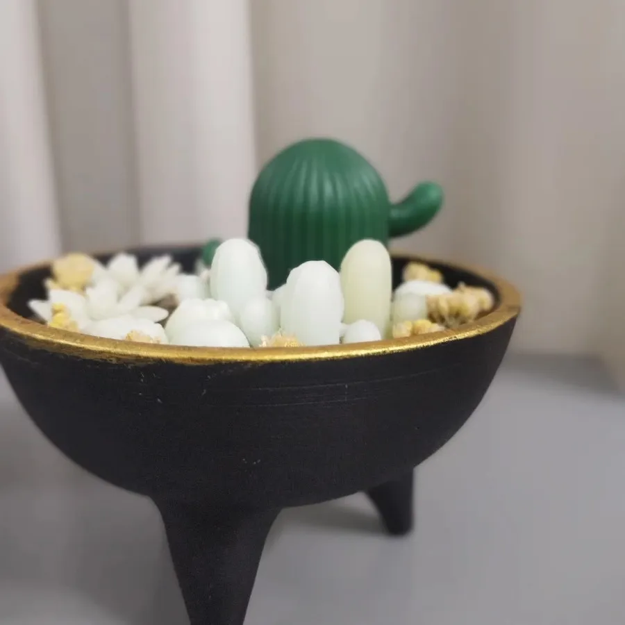 شمع باغچه کاکتوس