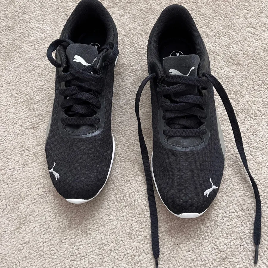 کتونی پوما اورجینال