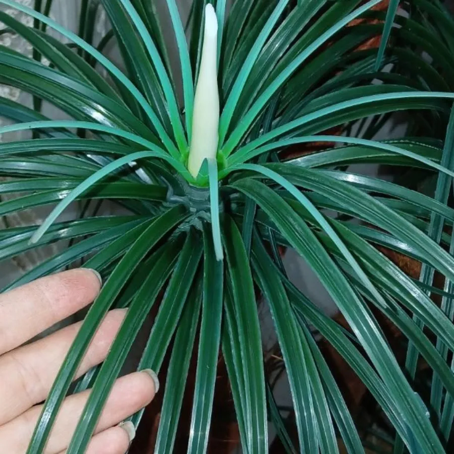 درختچه نخل مصنوعی نونو