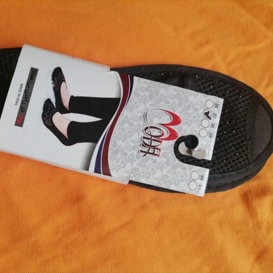 پاپوش مجلسی