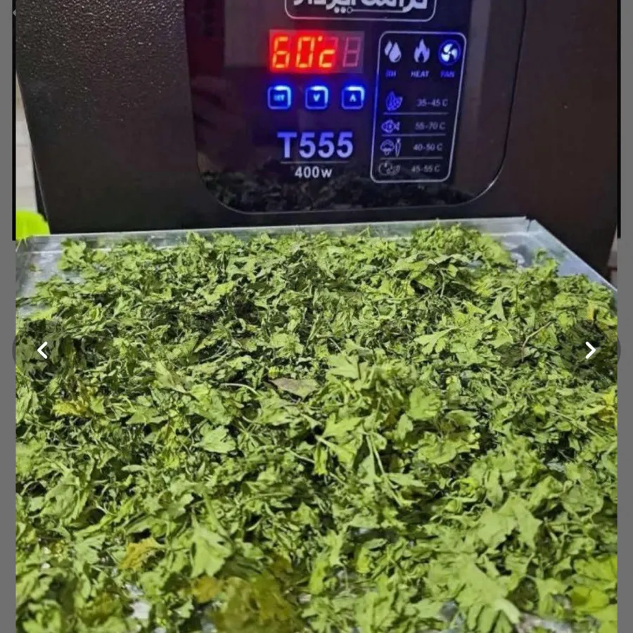 خشک کن میوه و سبزی کممصرف