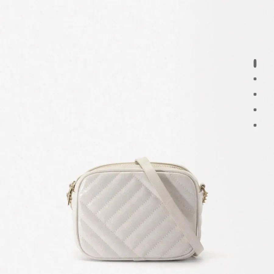 کیف پارفویس