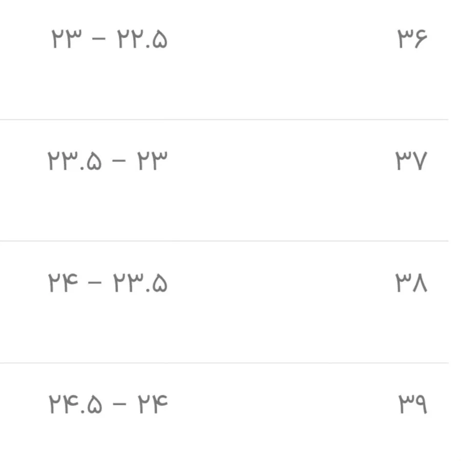 کفش کتونی ال استار