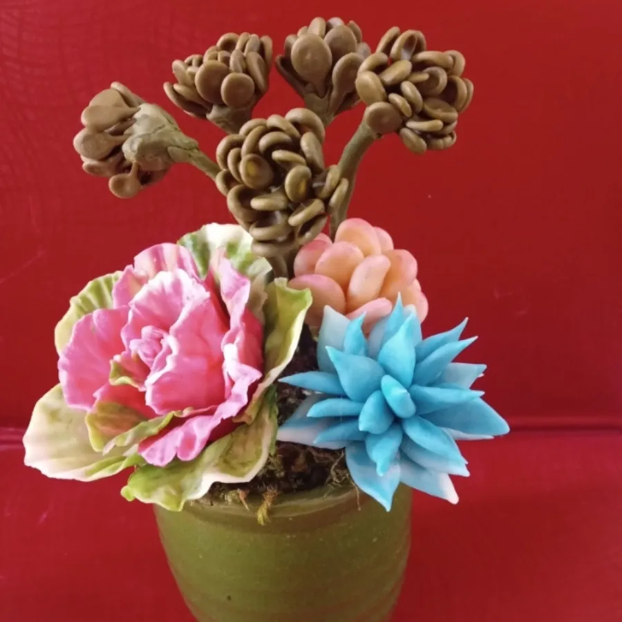 گلدان تک کاکتوس