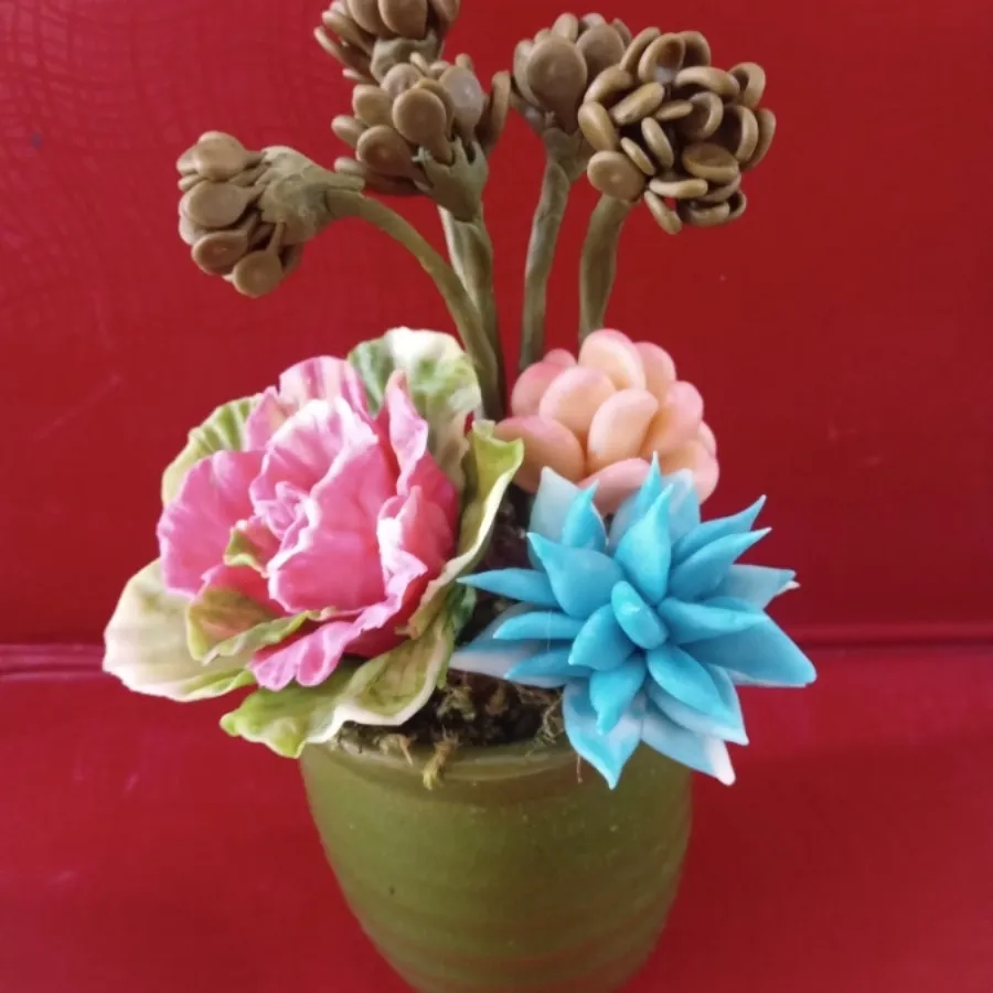 گلدان تک کاکتوس