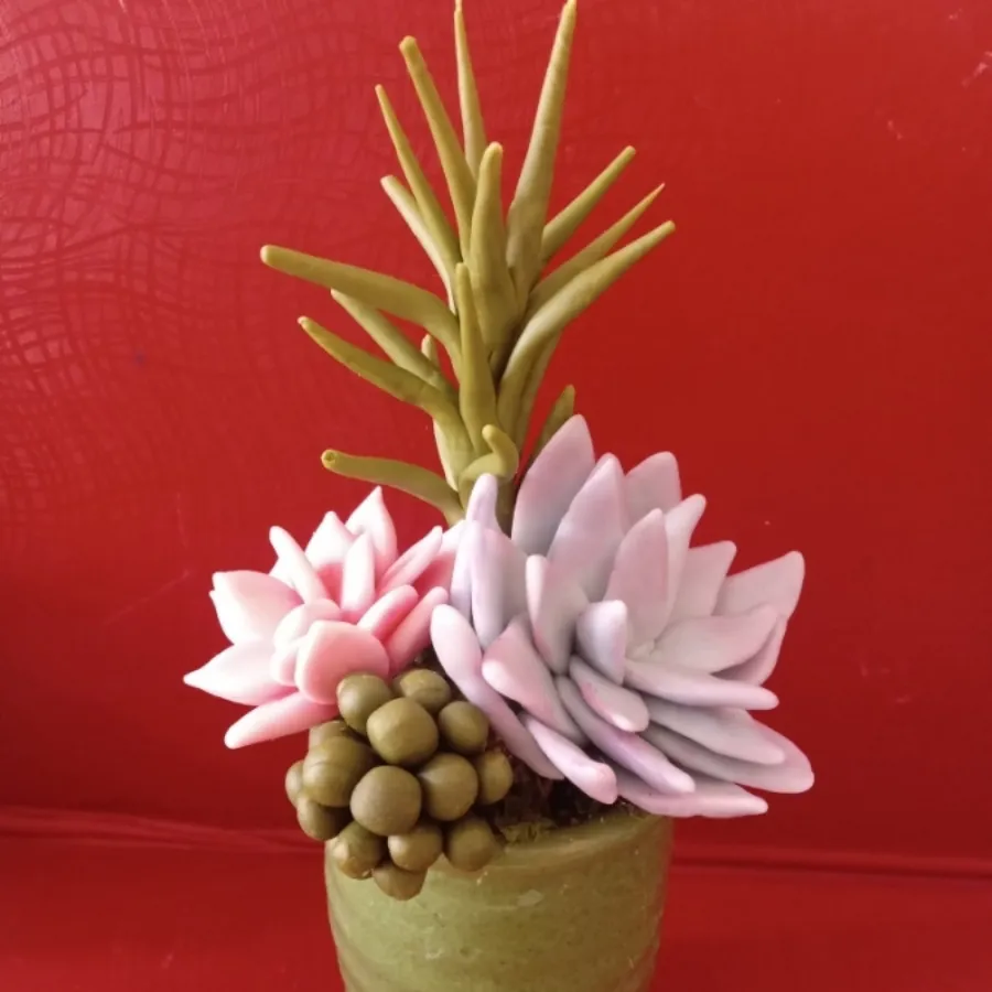 گل کاکتوس خمیری