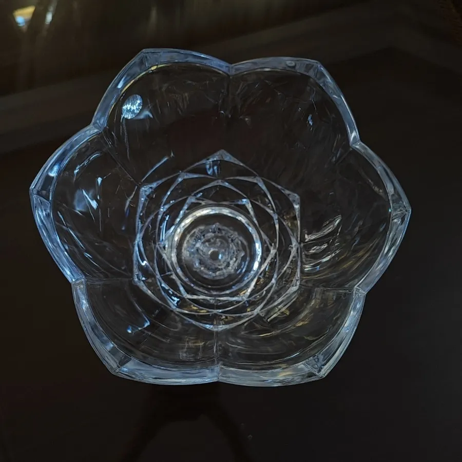 گل لاله پایه دار