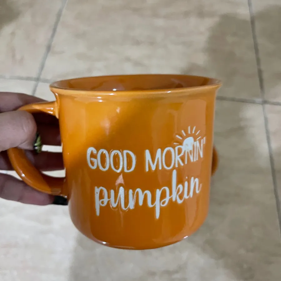 دوعدد ماگ بزرگ