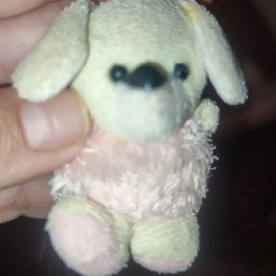 سر سویچ و سر جاکلیدی