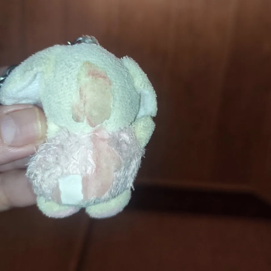 سر سویچ و سر جاکلیدی