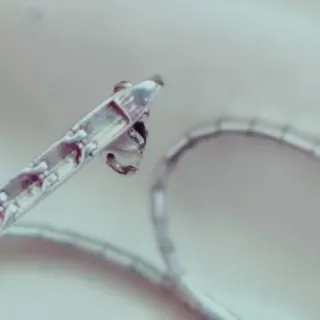 سرویس عروس