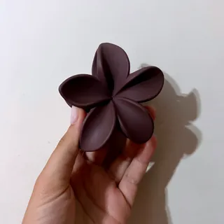 کلیپس قهوه ای