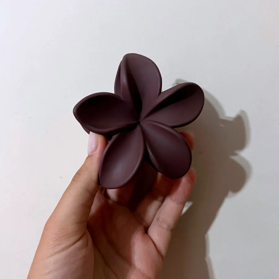 کلیپس قهوه ای