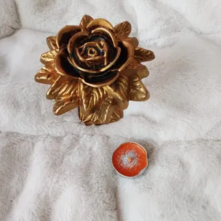 جاشمعی رز