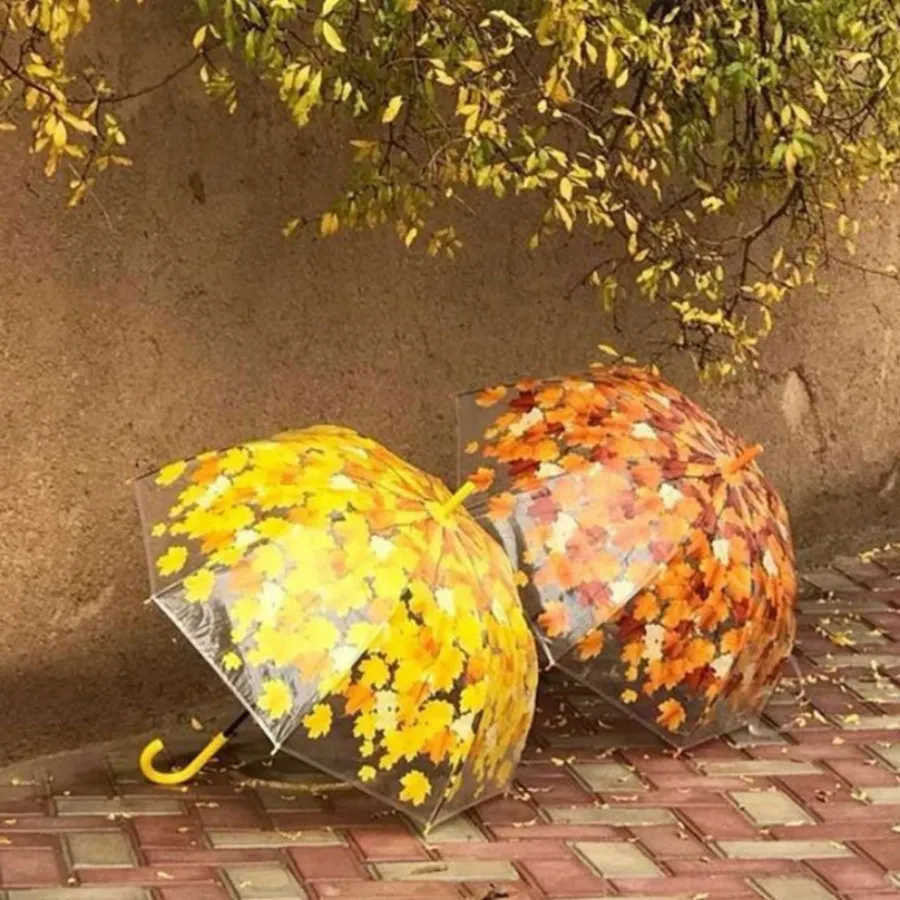 چتر برگ پاییزی