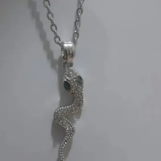 زنچیرپلاک مار