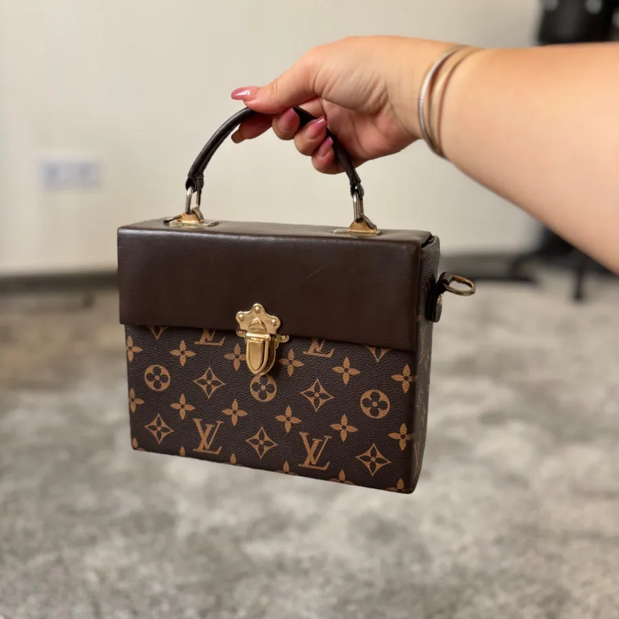 کیف لویی ویتون