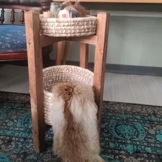 دکوراتور دو طبقه