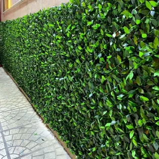 چمن مصنوعی و فنس چمنی