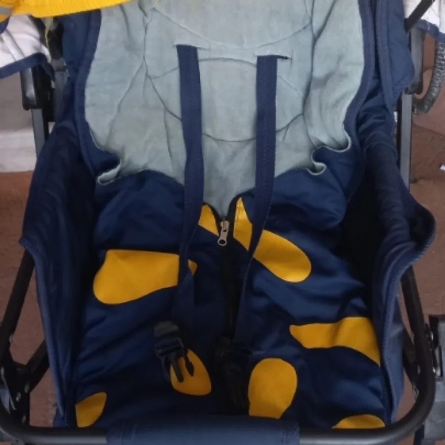 کالسکه دلیجان