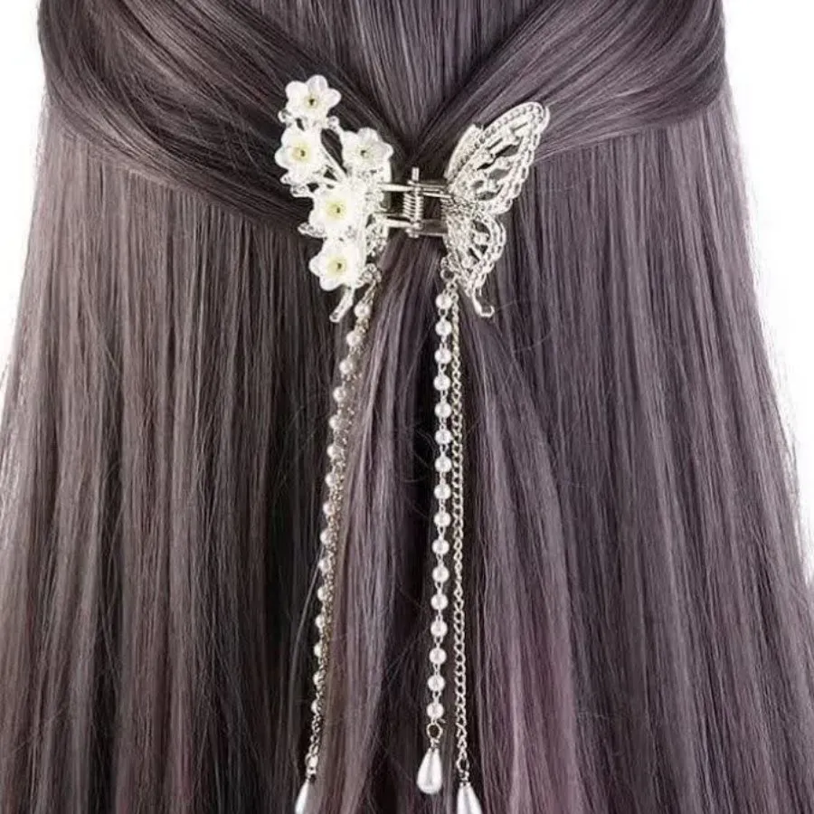 کلیپس مجلسی